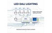 What Is LED DALI Lighting? A Buyer’s Guide for Commercial Projects What Is LED DALI Lighting? A Buyer’s Guide for Commercial Projects